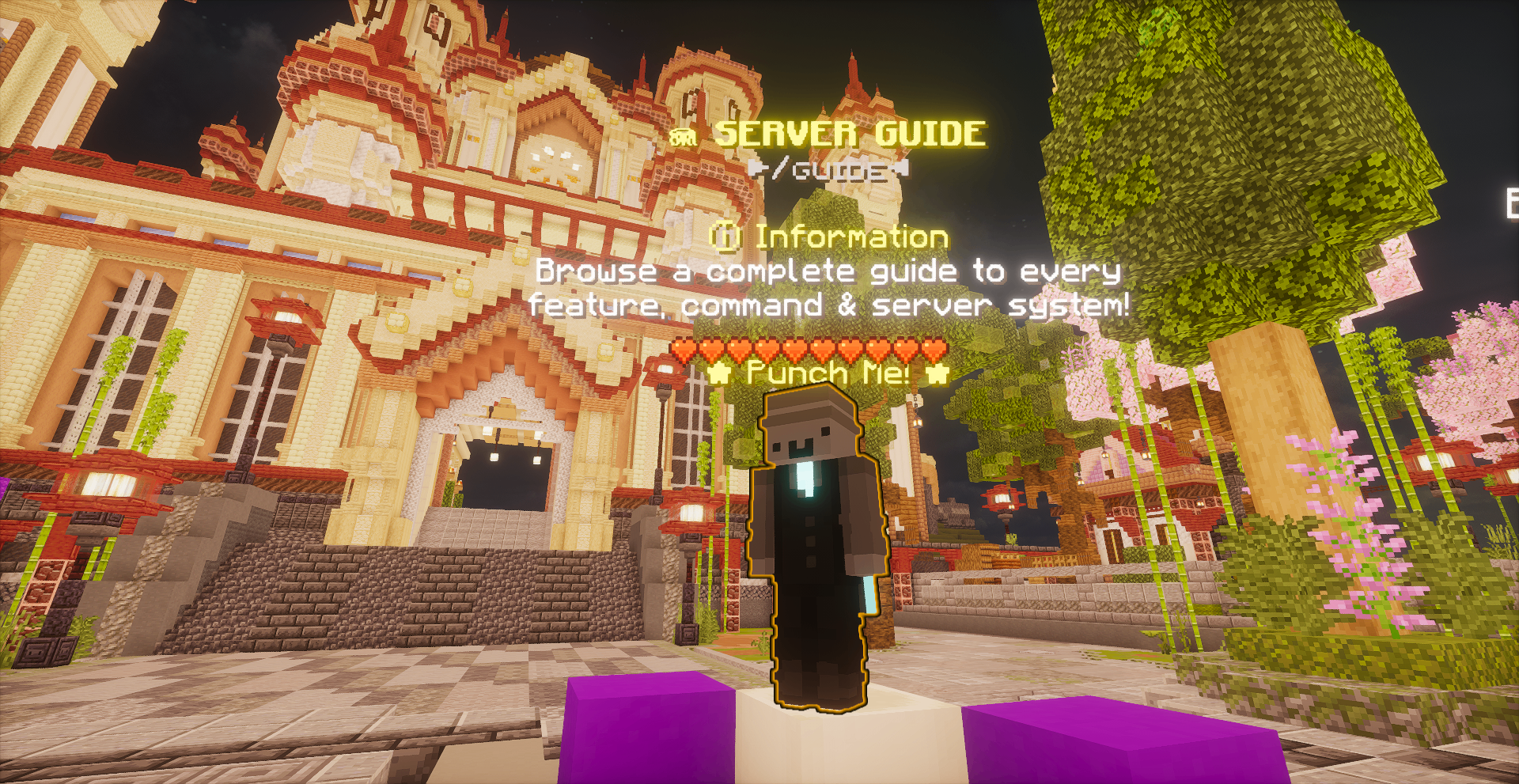 Server Guide NPC